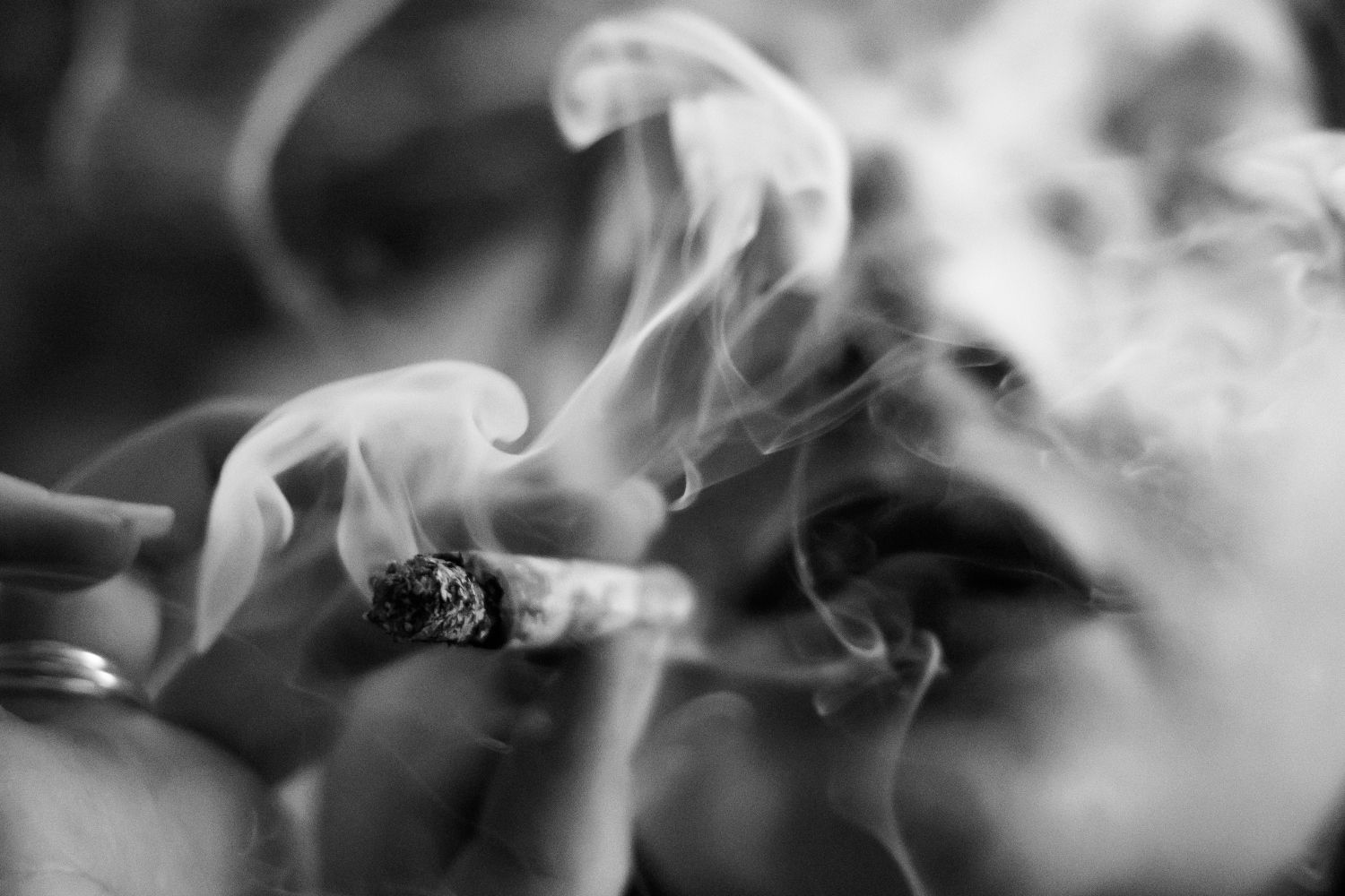 Gobierno-tabaco calentado