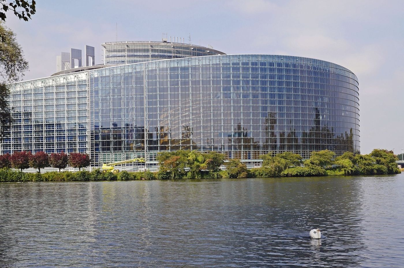 Parlamento Europeo-Nicotina
