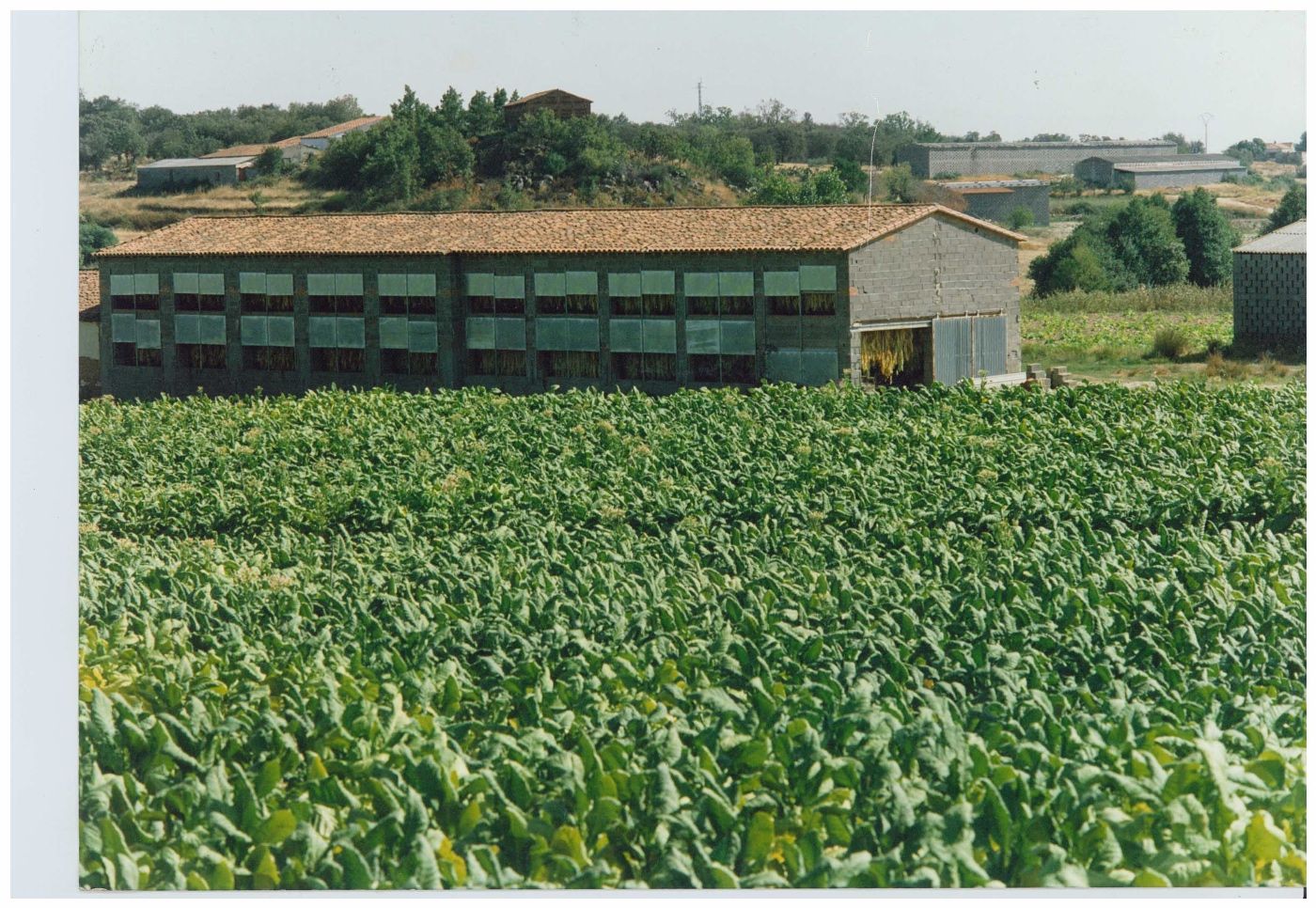 CULTI-agricultores