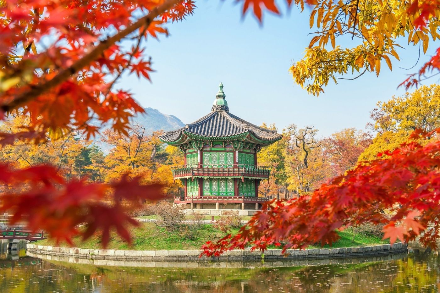 Corea del Sur-Nicotica