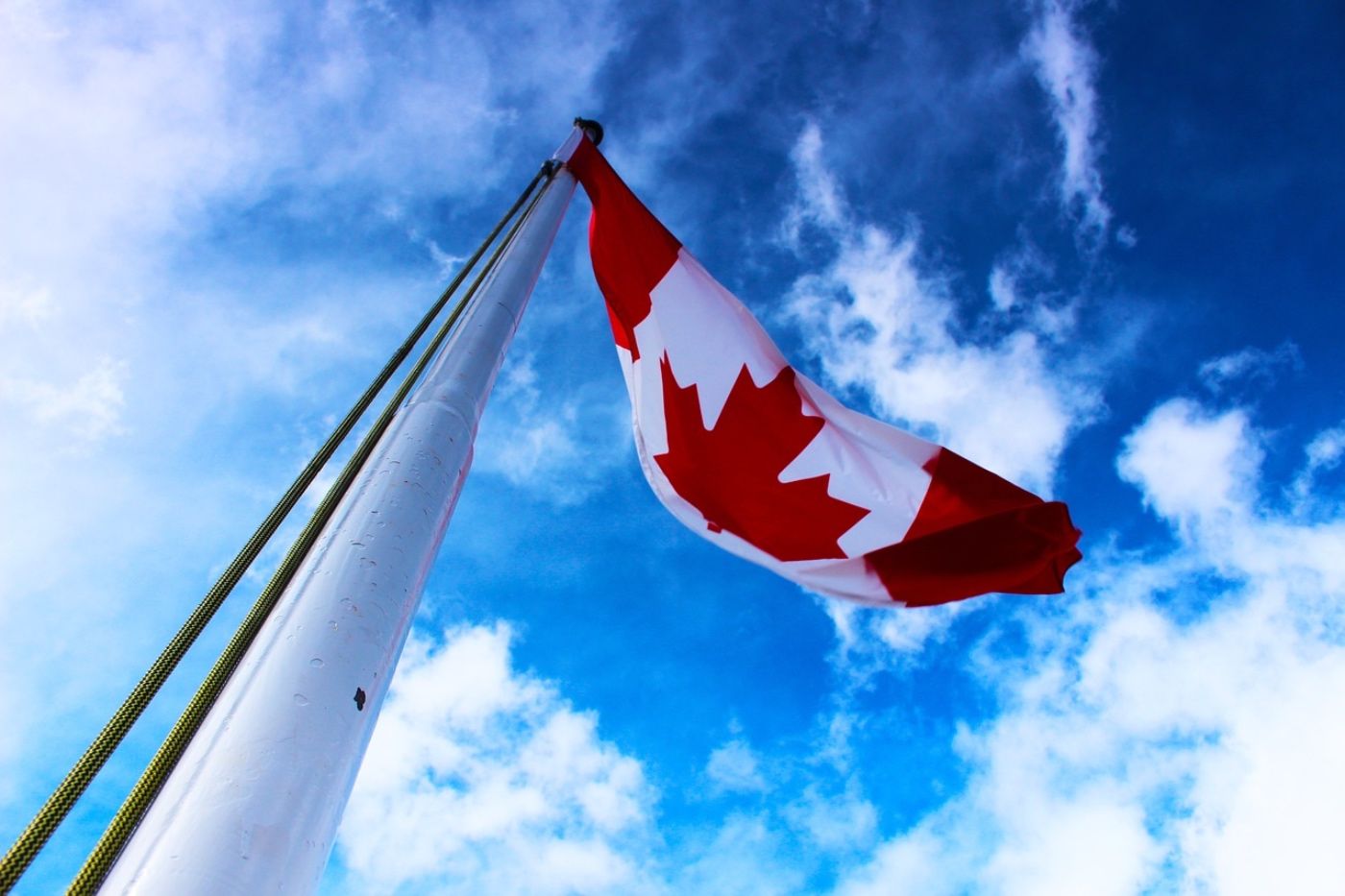 Canadá-retira-mercado-bolsas- nicotina-no autorizadas