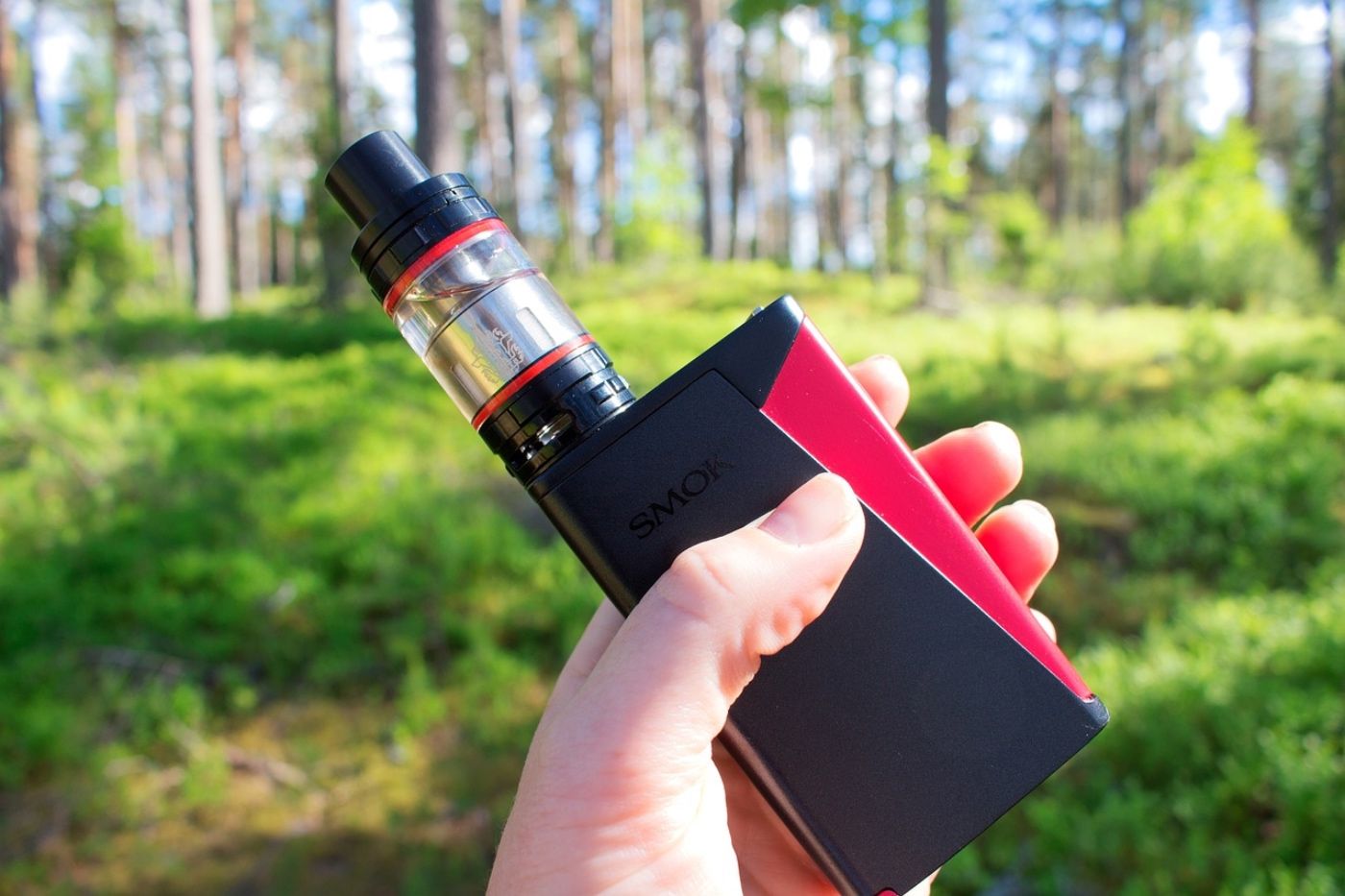 Vapeo-Ley-España- 2024-2