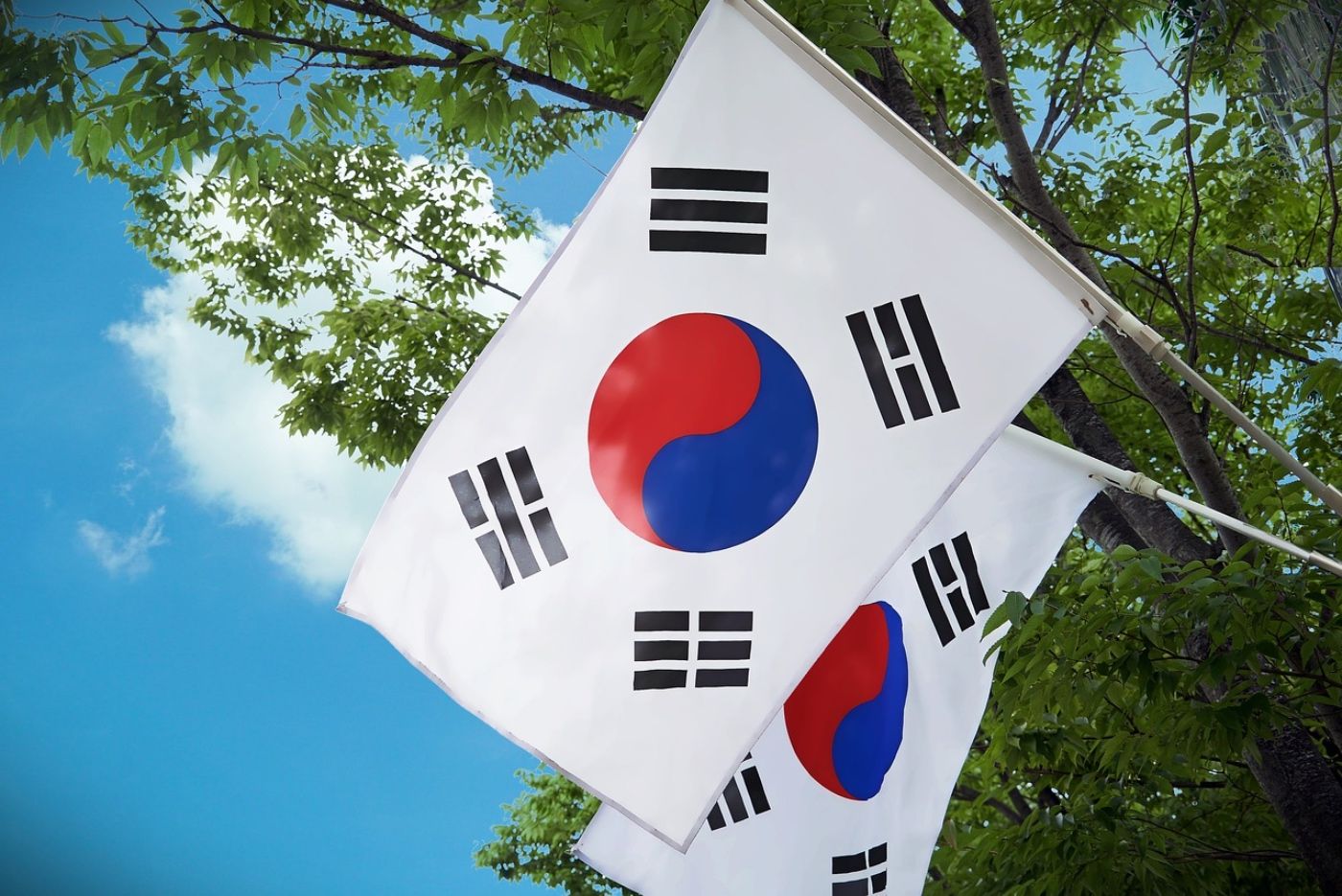 Corea-tabaco calentado-hallazgos
