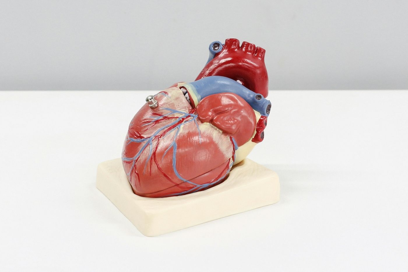 El impacto del vapeo en la salud cardiovascular