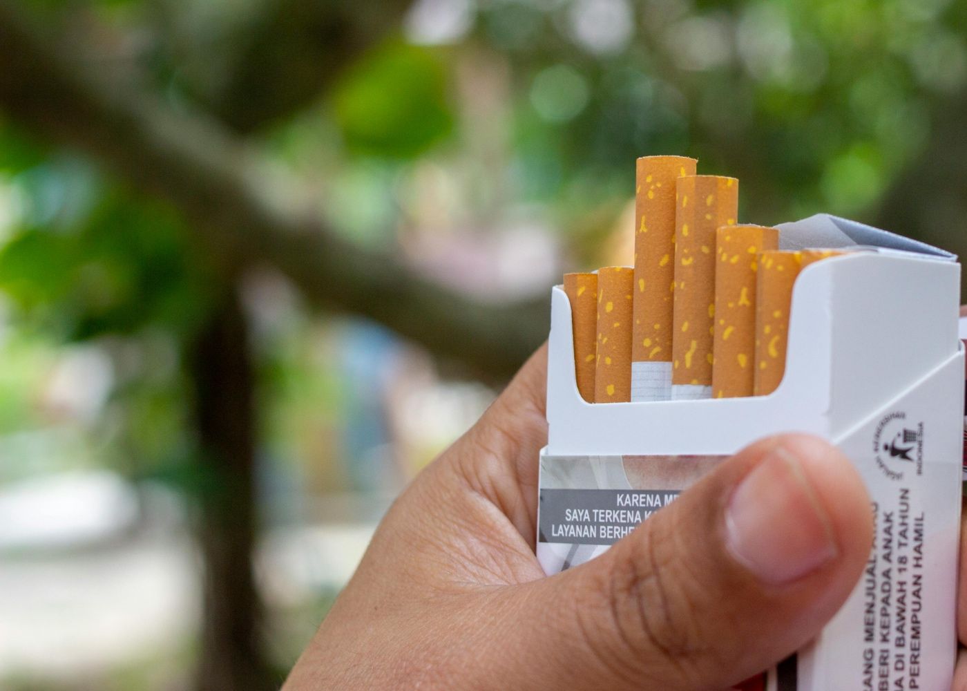 España adopta empaquetado genérico tabaco, pese cuestionable eficacia Francia