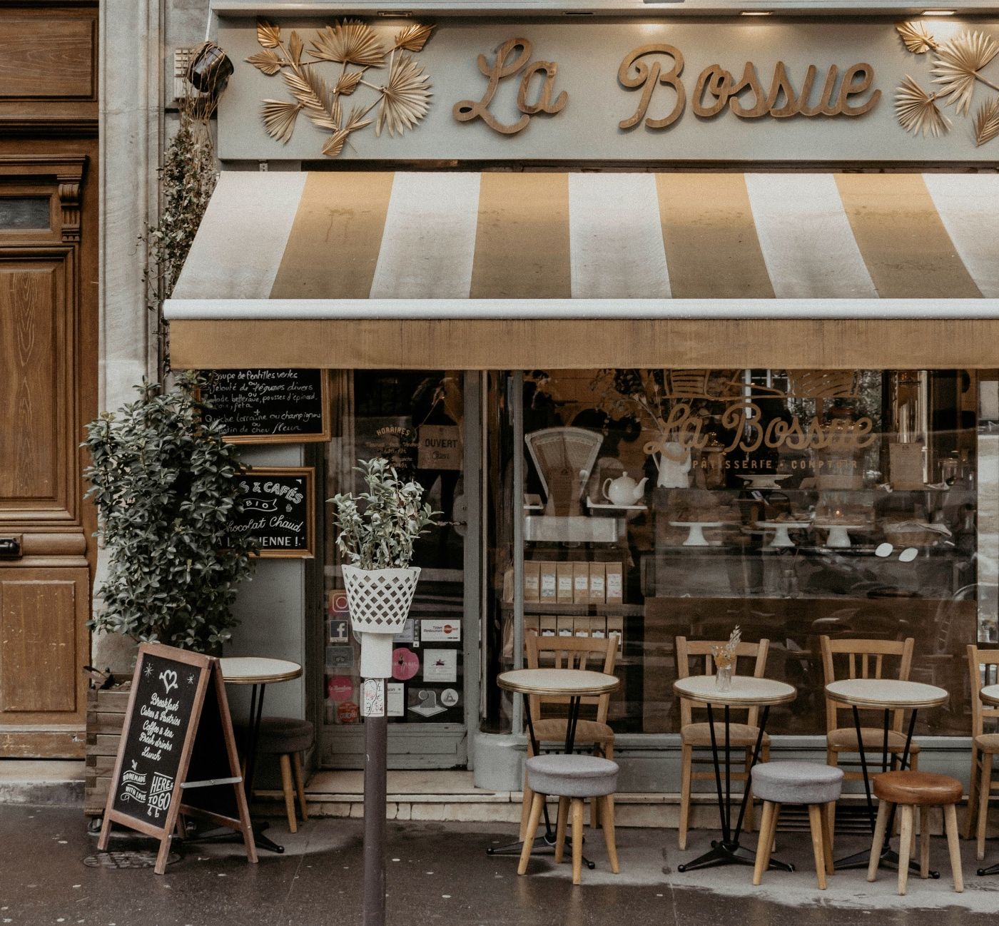 Francia se suma prohibición bolsas nicotina refuerza regulación sobre productos alternativos