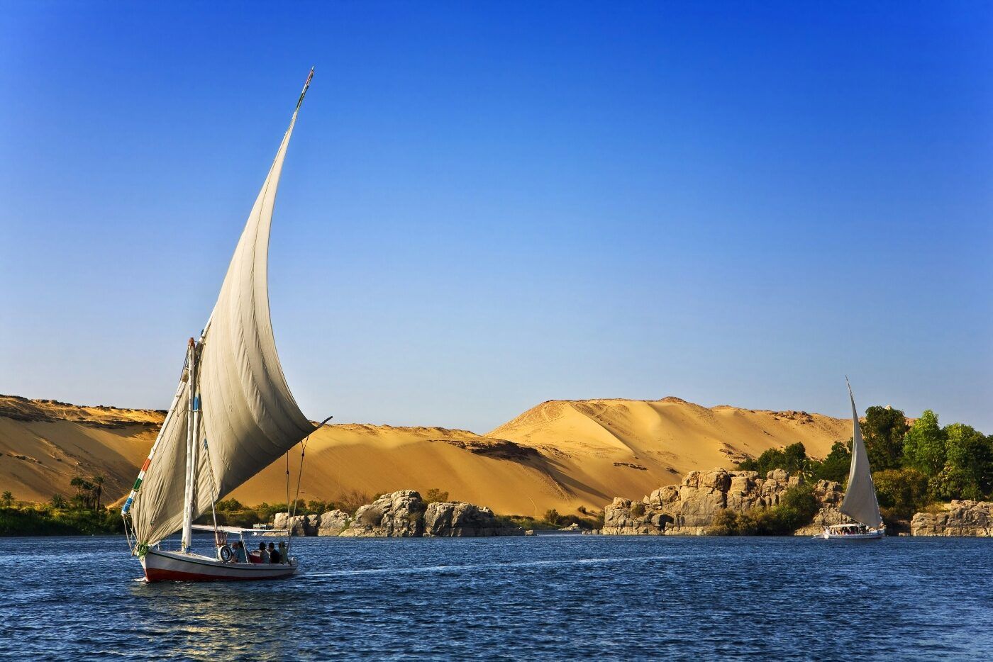 Egipto encabeza exportaciones globales tabaco shisha 2024