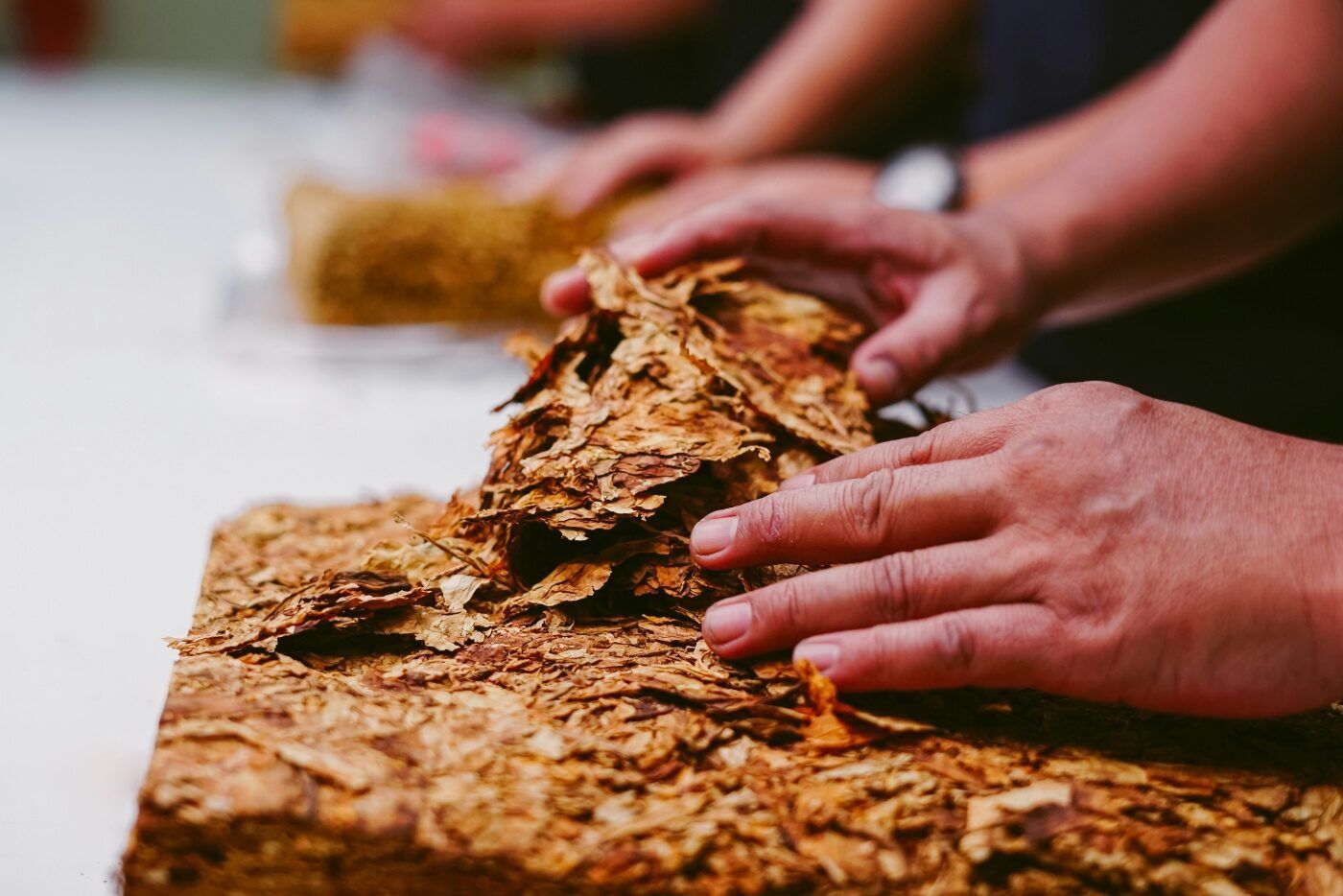 InterTabac: descubre mundo internacional cigarro todas facetas