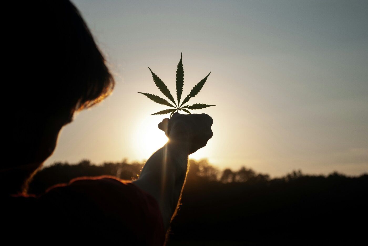 Montu facilita más 72.000 recetas cannabis consultas breves
