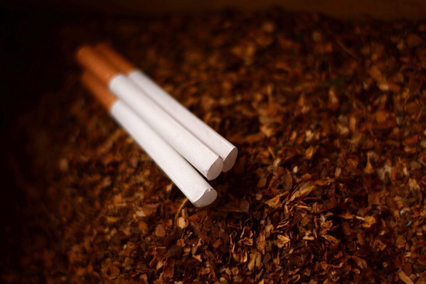 Productos emergentes tabaco nicotina: últimas noticias regulatorias Tamarind Intelligence