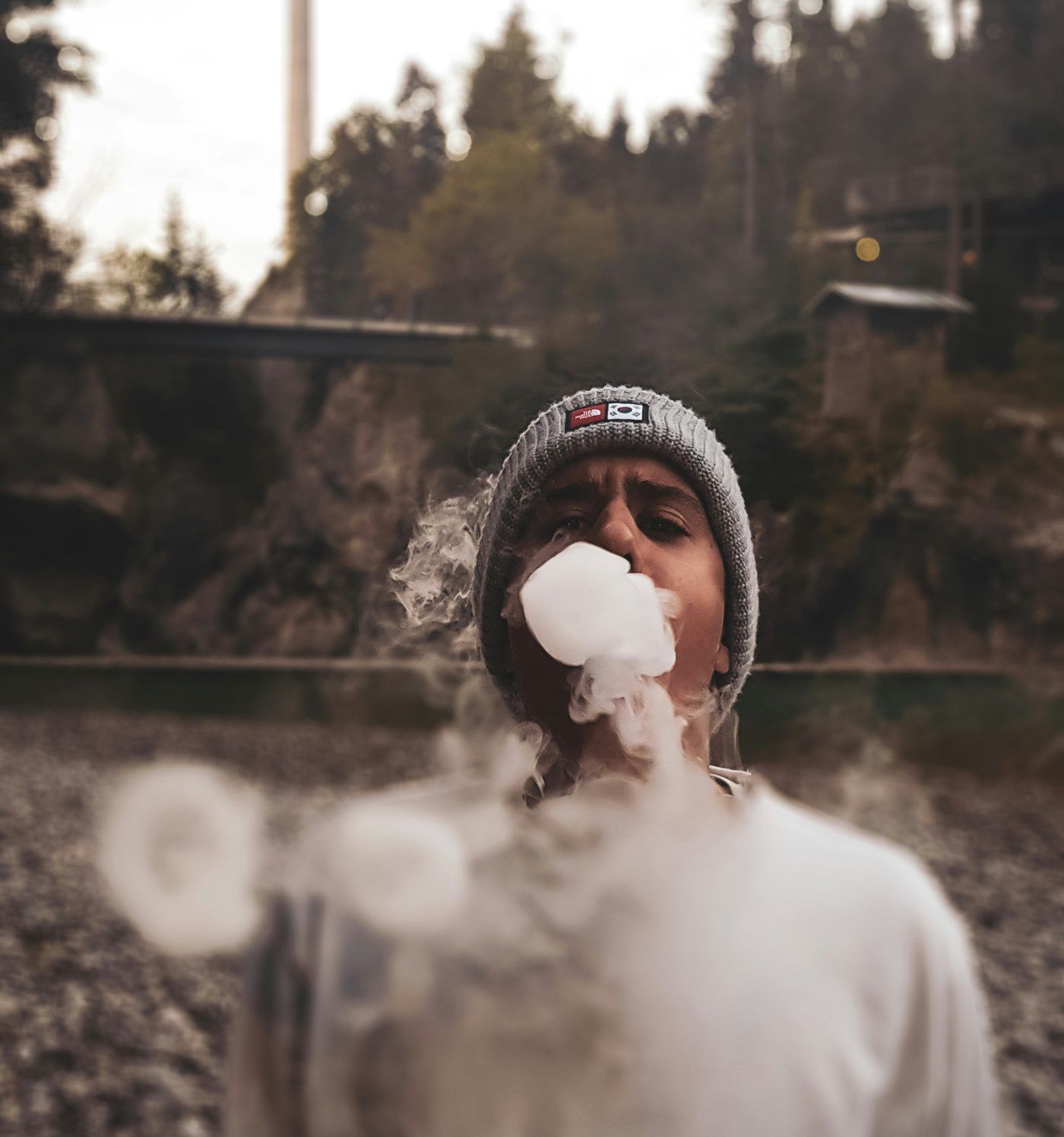 Alemania impulsa normativa elimina mentol aditivos productos vapeo